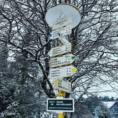 Apartmán Galerie - Lipno nad Vltavou Esterno foto