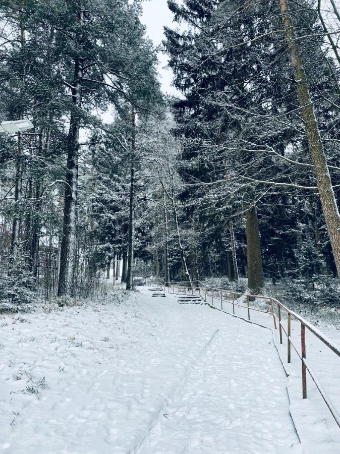 Apartmán Galerie - Lipno nad Vltavou Esterno foto