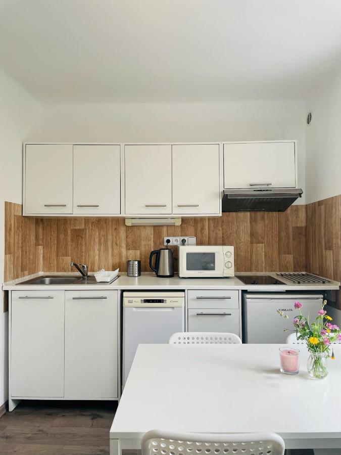 Apartmán Galerie - Lipno nad Vltavou Esterno foto